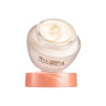 Laikou Питательный крем для лица с муцином улитки Snail Nutrition Essence Multi Effects Extract, 50г