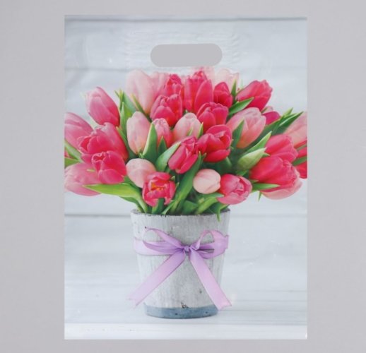 Пакет полиэтиленовый с вырубной, усиленной ручкой, 31 х 40 см, 60 мкм