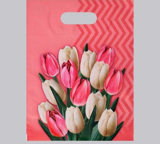 Пакет "Диана" полиэтиленовый с вырубной ручкой 50мкм, 30см*40см, 1шт